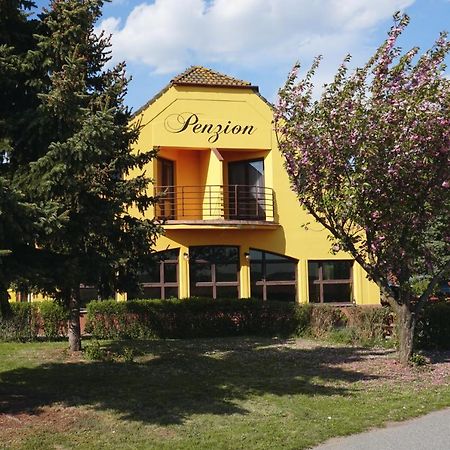 Leo - Penzion Jevišovice Buitenkant foto
