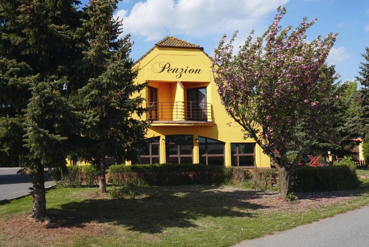 Leo - Penzion Jevišovice Buitenkant foto